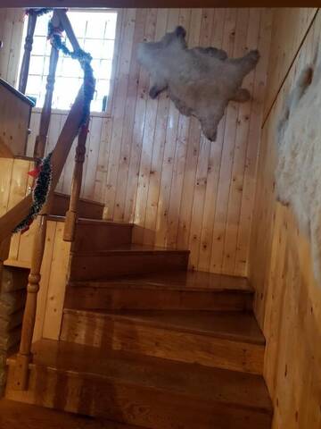 Фото номера Дом для отпуска Дома для отпуска Vila CarpaticTour (lângă pârtia M1) г. Рынка 12