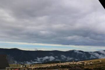 Фото номера Двухместный номер с 1 кроватью Гостевой дом Cabana Transalpina г. Рынка 42