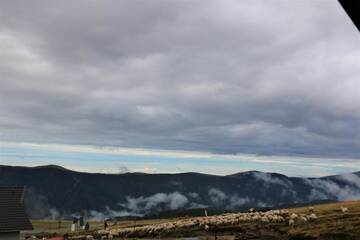 Фото номера Двухместный номер с 1 кроватью Гостевой дом Cabana Transalpina г. Рынка 12