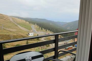 Фото номера Двухместный номер с 1 кроватью Гостевой дом Cabana Transalpina г. Рынка 30